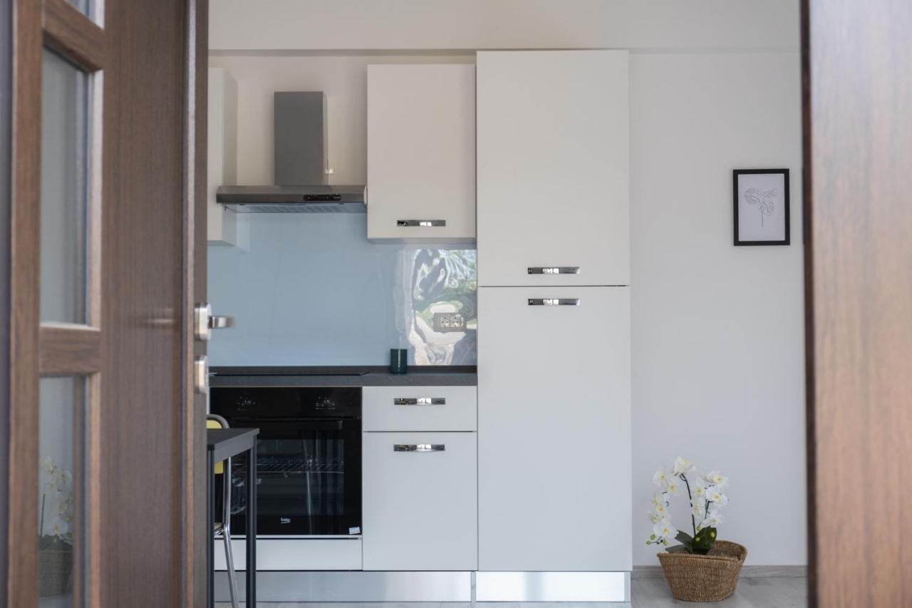 Apartma Oddih Dutovlje エクステリア 写真