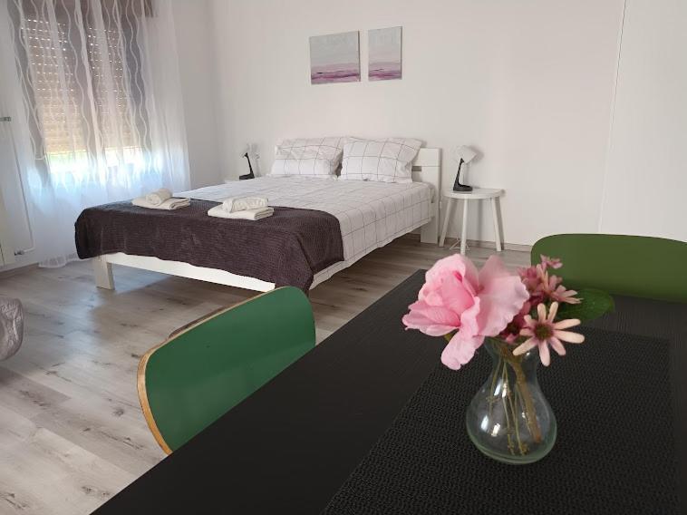 Apartma Oddih Dutovlje エクステリア 写真